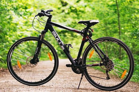 Hobart Shore Excursion: Small Group Mount Wellington 3-Hour Bike Tour - Find Attractions 1