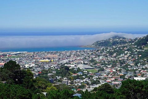 Hobart Shore Excursion: Small Group Mount Wellington 3-Hour Bike Tour - Find Attractions 0