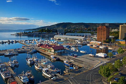 Hobart Shore Excursion: Small Group Mount Wellington 3-Hour Bike Tour - Find Attractions 6