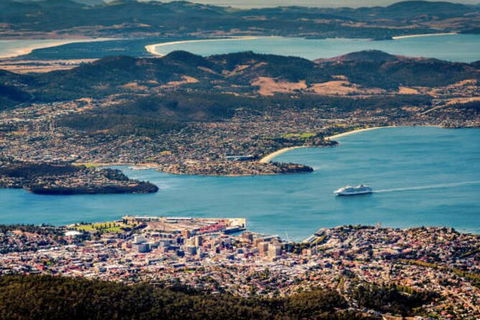 Hobart Shore Excursion: Small Group Mount Wellington 3-Hour Bike Tour - Find Attractions 3