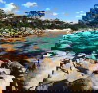 4-Day Tasmania East Coast Adventure from Launceston to Hobart Including Bay of Fires Wineglass Bay Bruny Island and Port Arthu - Find Attractions