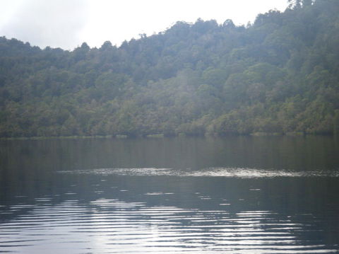 Gordon River Cruise Departing From Strahan - Find Attractions 23
