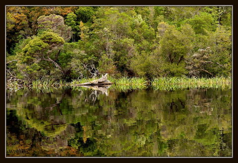 Gordon River Cruise Departing From Strahan - Find Attractions 12