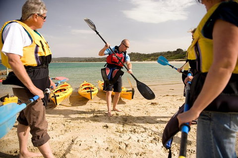 The Freycinet Paddle - Find Attractions 7