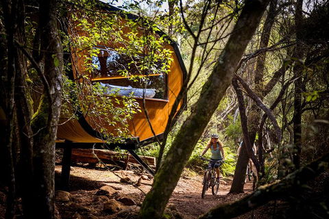 Blue Derby Pods Ride Experience 3-Day Mountain Bike Adventure In Exclusive Pods - Find Attractions 0