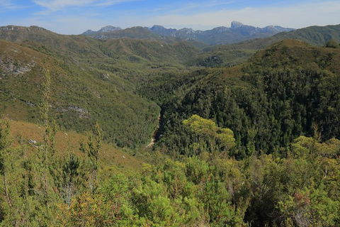 Lake St. Clair And Western Wilderness Active Day Trip From Hobart - Find Attractions 9