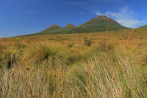 Lake St. Clair And Western Wilderness Active Day Trip From Hobart - Find Attractions 11