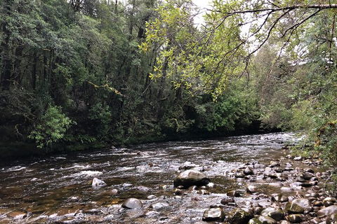 Lake St. Clair And Western Wilderness Active Day Trip From Hobart - Find Attractions 4