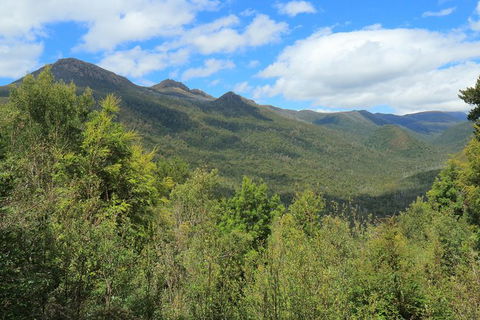Lake St. Clair And Western Wilderness Active Day Trip From Hobart - Find Attractions 13