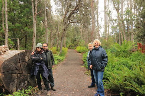 Lake St. Clair And Western Wilderness Active Day Trip From Hobart - Find Attractions 8