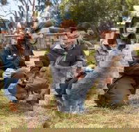 Bonorong Wildlife Park and Richmond Afternoon Tour from Hobart - Find Attractions