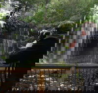 Mt Field and Styx Valley Photography Tour - Find Attractions