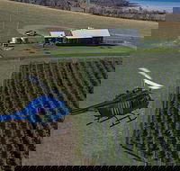 Bangor Vineyard Shed Helicopter Tour - Find Attractions