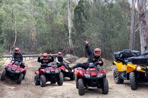 Quad Bike 2-Hour Adventure: Freycinet National Park - Find Attractions 4