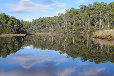 Leven River Picnic Cruise From Ulverstone - Find Attractions 1