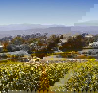 Josef Chromy Wines Winery Tour Including Tasting and Lunch - Find Attractions