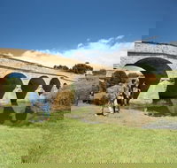 Richmond Historic Afternoon Tour from Hobart - Find Attractions