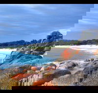 Bay of Fires Day Trip from Launceston - Find Attractions