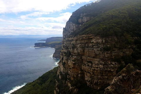 2-Day: Hobart Hiking Tour: Cape Raoul And Mount Field - Tarn Shelf - Find Attractions 7