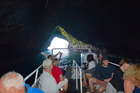 Maria Island Cruise + Walk. Renowned Day Tour With Drinks And Guided Walk - Find Attractions 11