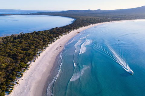 Maria Island Cruise + Walk. Renowned Day Tour With Drinks And Guided Walk - Find Attractions 2