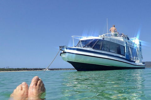 Maria Island Cruise + Walk. Renowned Day Tour With Drinks And Guided Walk - Find Attractions 9