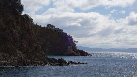 The Peppermint Bay Lunch Cruise From Hobart - Find Attractions 3