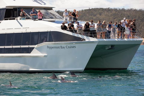 The Peppermint Bay Lunch Cruise From Hobart - Find Attractions 0
