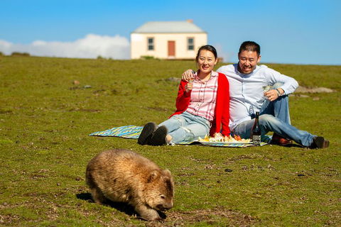 Wineglass Bay And Maria Island Wildlife Scenic Flight From Hobart - Find Attractions 2