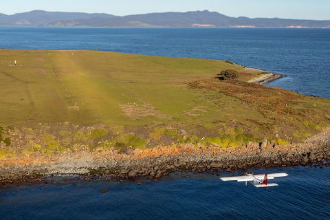 Wineglass Bay And Maria Island Wildlife Scenic Flight From Hobart - Find Attractions 10