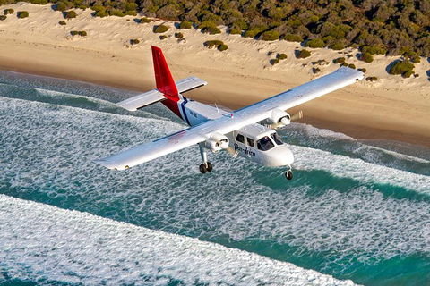 Wineglass Bay And Maria Island Wildlife Scenic Flight From Hobart - Find Attractions 11