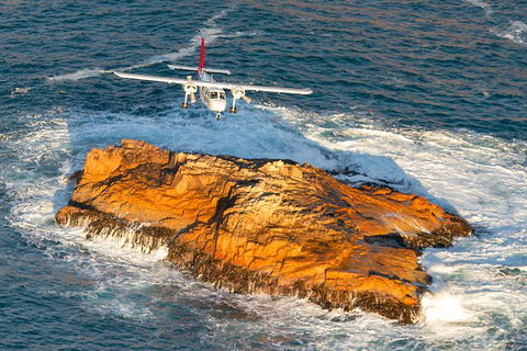 Wineglass Bay And Maria Island Wildlife Scenic Flight From Hobart - Find Attractions 7