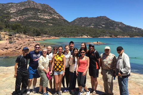 Active Day Tour One-Way From Hobart To Launceston With Wineglass Bay - Find Attractions 10