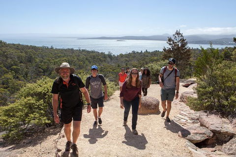 Active Day Tour One-Way From Hobart To Launceston With Wineglass Bay - Find Attractions 3