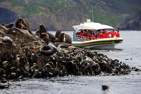 3-Hour Bruny Island Cruise From Adventure Bay - Find Attractions 0