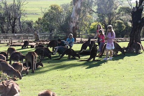 The Port Arthur MEGA Day Trip From Hobart - Find Attractions 5