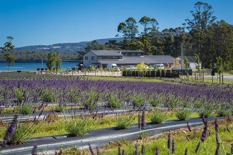 Private Tasman Peninsula Cruise Ship Tour From Port Arthur - Find Attractions 0