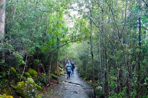 Hobart Hop-On Hop-Off Bus & Kunanyi/Mt Wellington Tour - Find Attractions 4