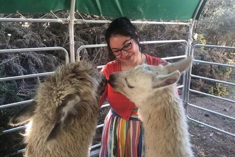 Farm Visit - Find Attractions 1
