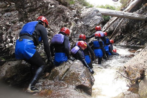 Half Day Cradle Mountain Canyoning: Lost World Canyon - Find Attractions 1