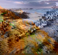 4-Day Tarkine Wilderness Photography Workshop - Find Attractions