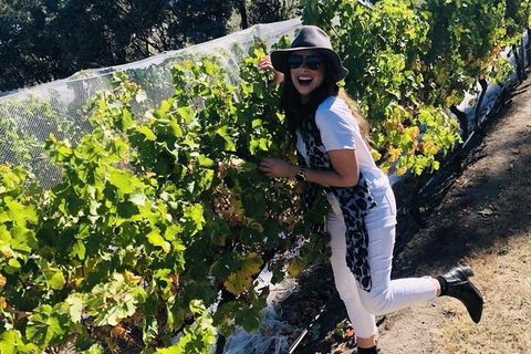 Valleys Of Vino Tour - Find Attractions 1