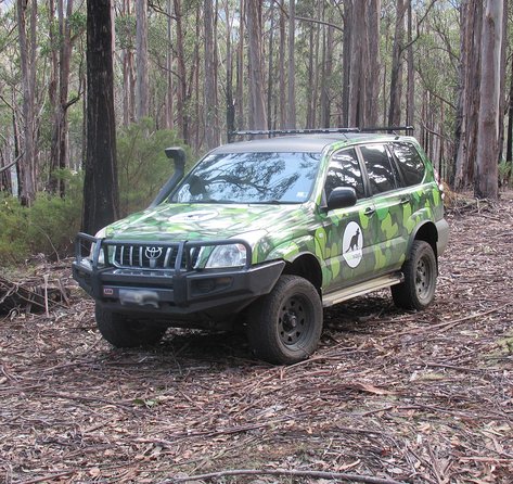 Wildlife Day Tour (4+ Hours, $195 Per Person) - Find Attractions 6