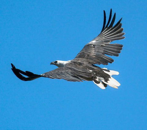 Wildlife Day Tour (4+ Hours, $195 Per Person) - Find Attractions 1