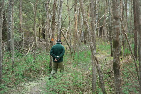 Wildlife Day Tour (4+ Hours, $195 Per Person) - Find Attractions 12
