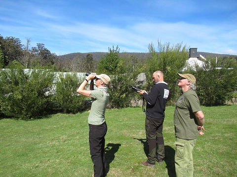 Wildlife Day Tour (4+ Hours, $195 Per Person) - Find Attractions 9