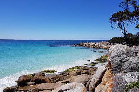 Tasmania 4 Day East Coast + Launceston - Find Attractions 0