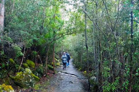 Kunanyi/Mt Wellington Tour & Hobart Hop-On Hop-Off Bus - Find Attractions 5