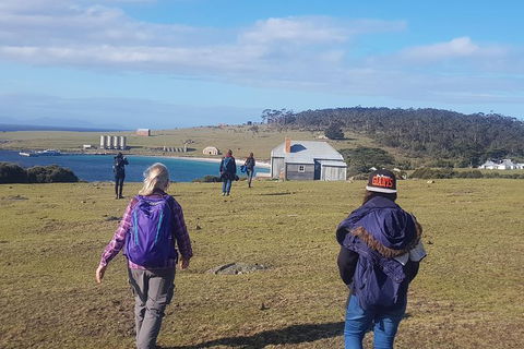 4-Day: Hobart Adventure Tour: Maria Island, Cape Raoul, Mount Field, Cape Hauy - Find Attractions 0