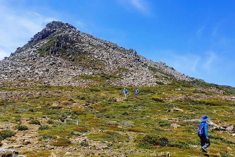 3-Day: Hobart Adventure Tour: Mount Field, Cape Hauy And Hartz Peak - Find Attractions 0
